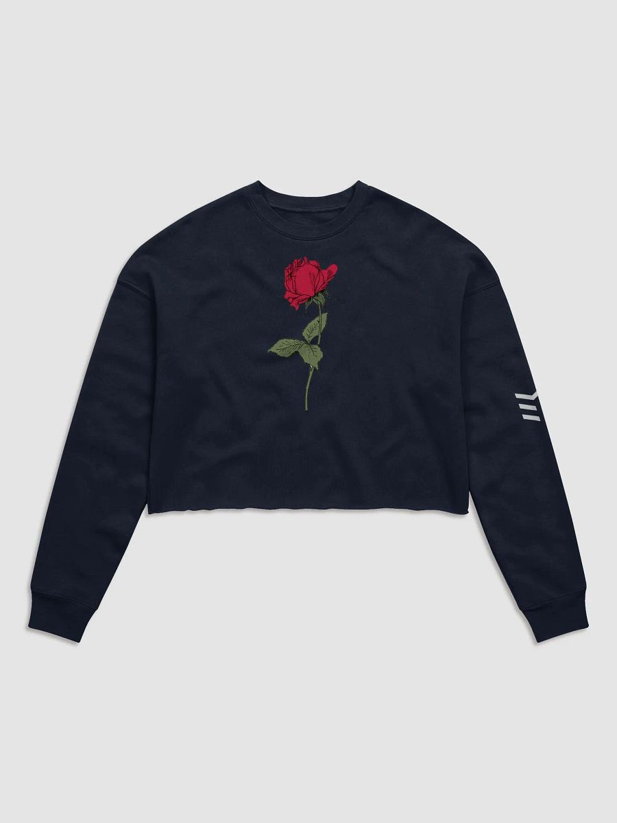 EM \\ Cropped Sweatshirt product image (1)