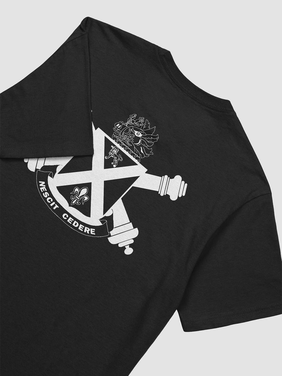 1-118th FA PT Shirt product image (4)