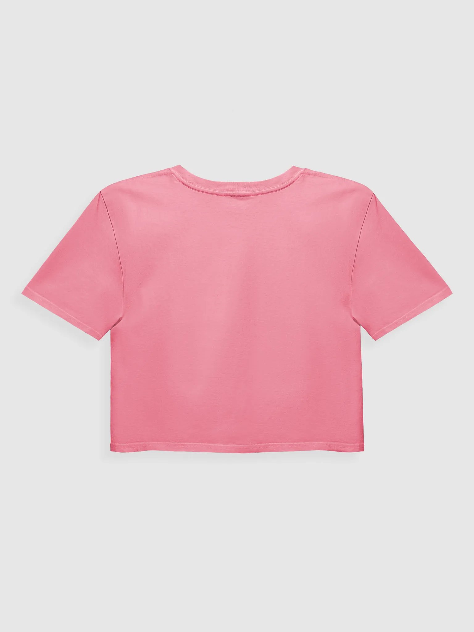 SHWEEDLY DOG | Cropped Top product image (2)