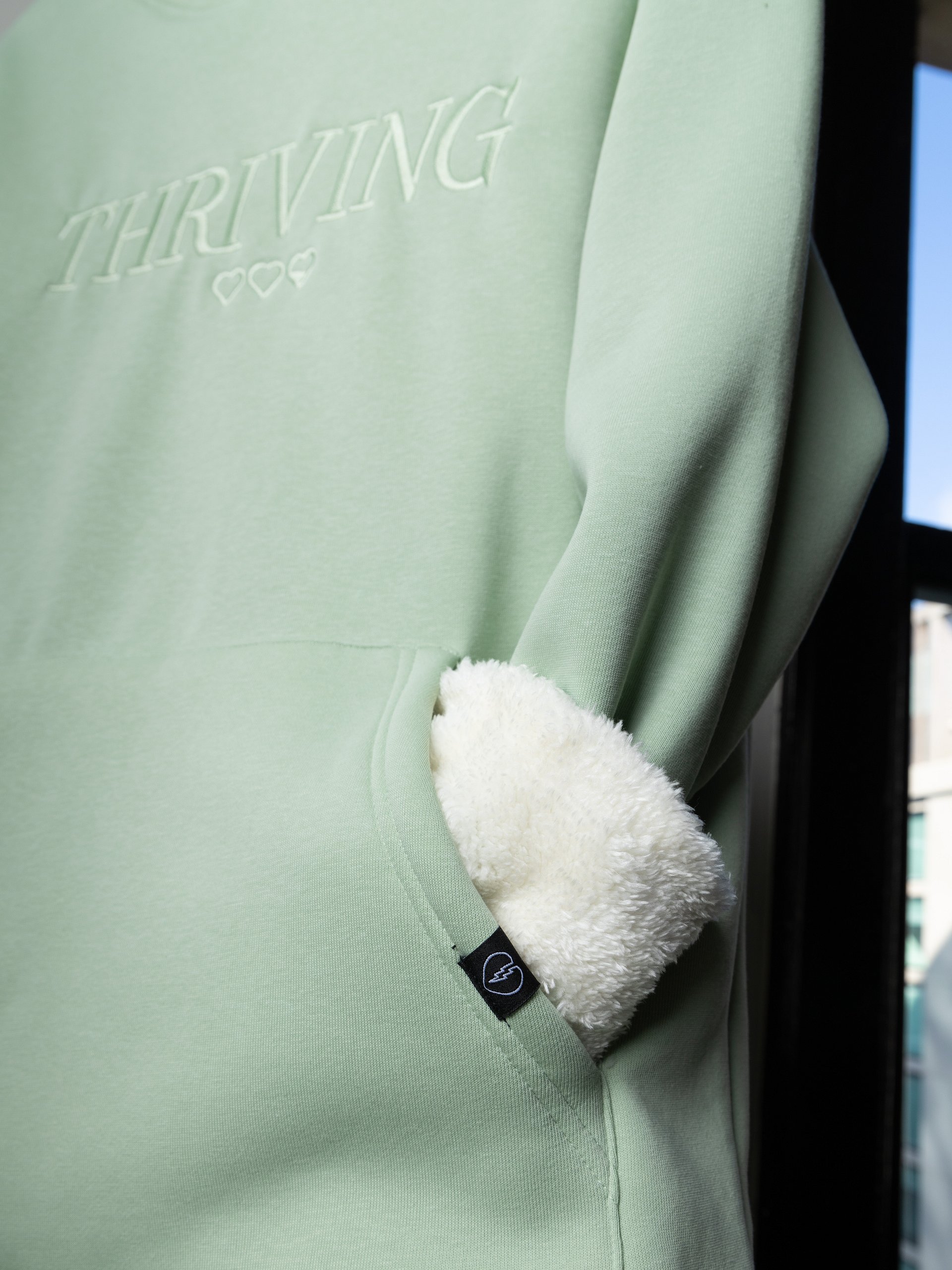 Thriving Fleece Hoodie product image (4)