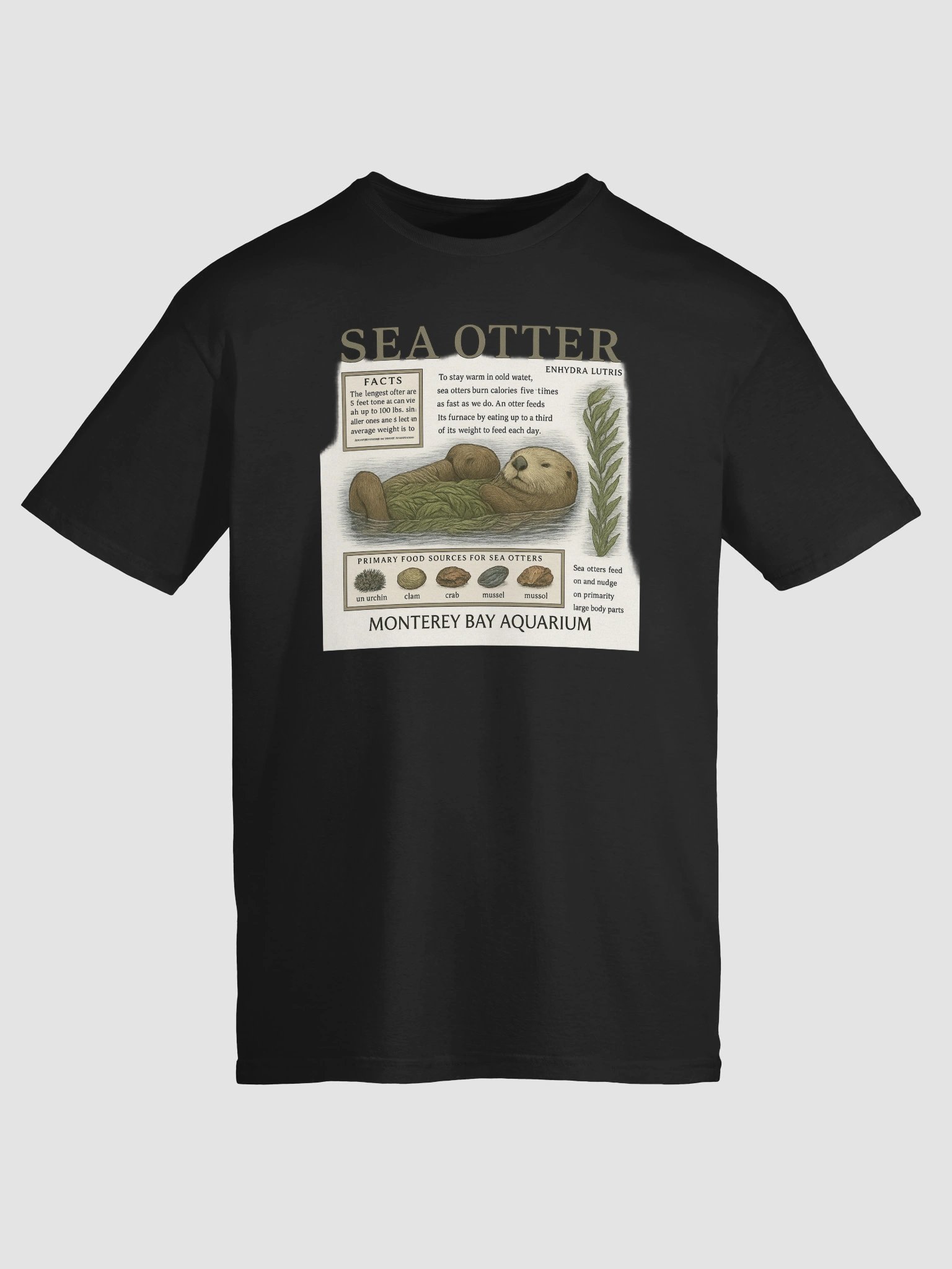Monterey Bay Aquarium Otter Shirt product image (1)