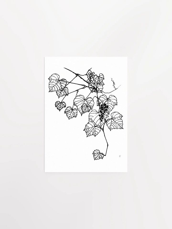 Vibrant Vineyard: Premium Matte Paper Poster - Grape Leaves Stylish product image (1)