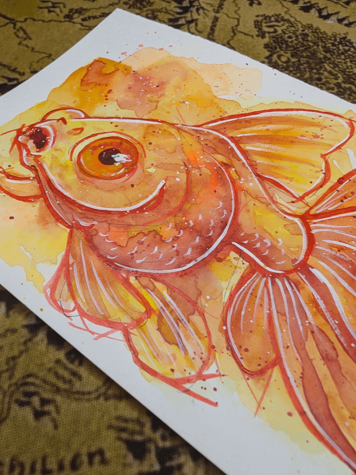 Fancy Goldfish product image (2)