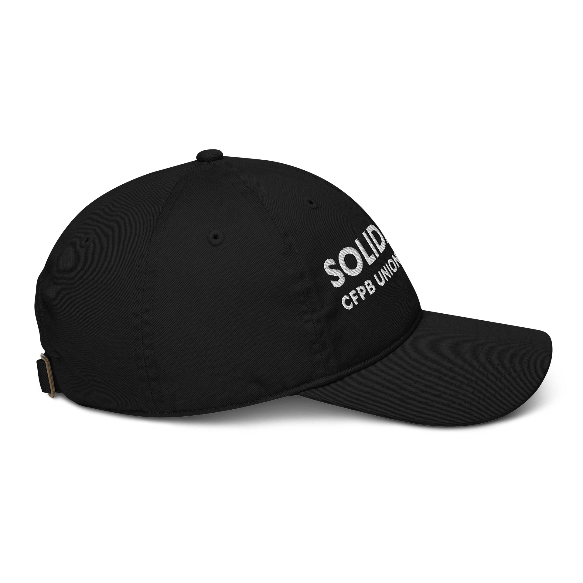 Solidarity Baseball Hat product image (5)