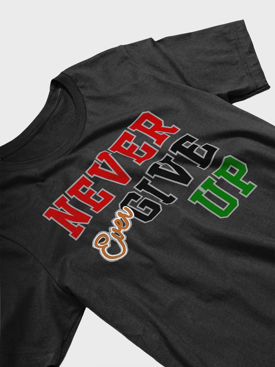Never Ever Give Up product image (3)