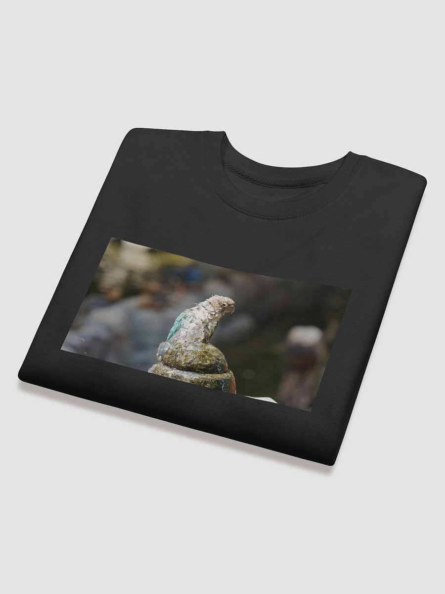 Ruffled Feathers Parrot Sweatshirt product image (4)