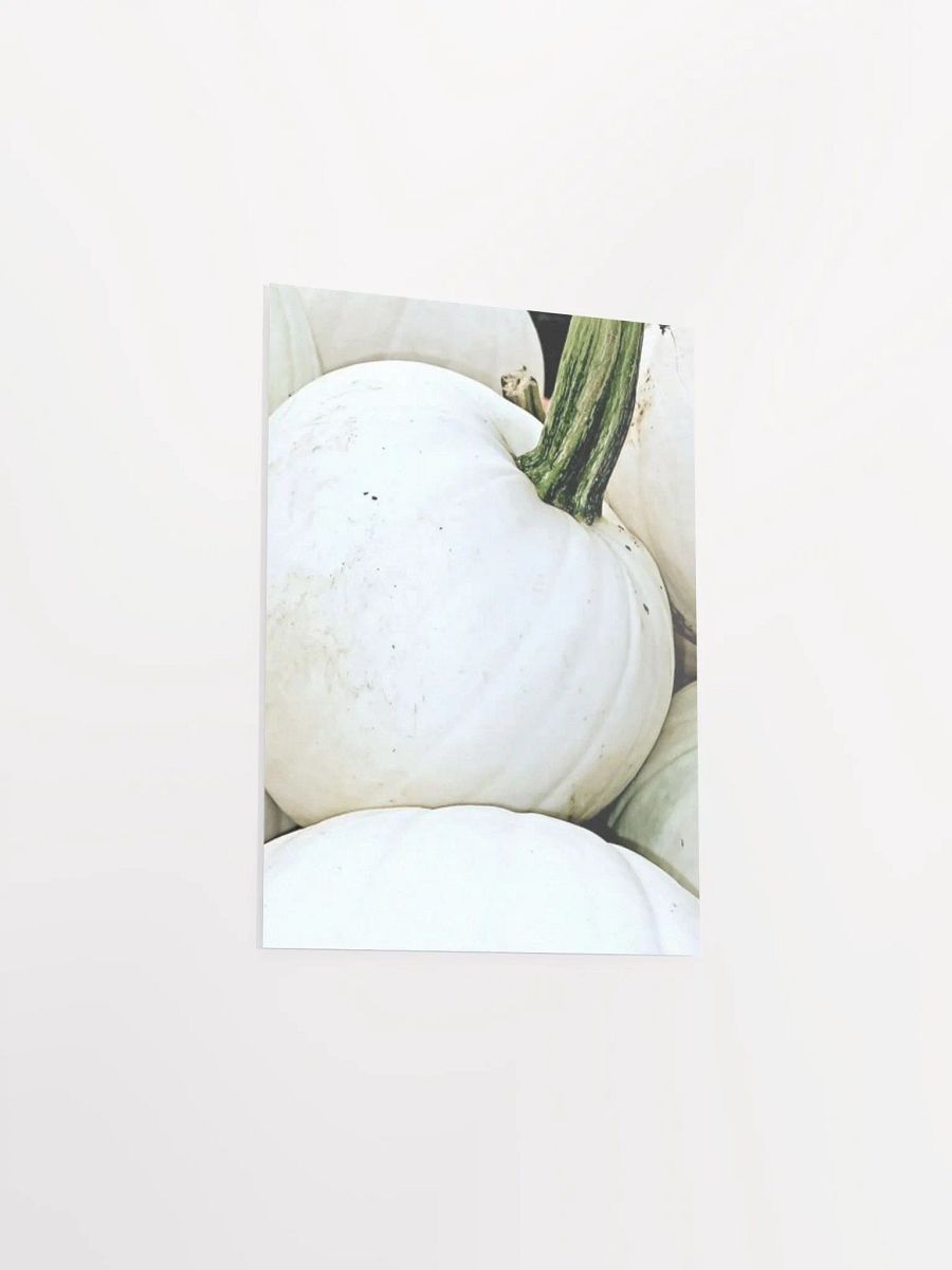 White Pumpkin product image (33)