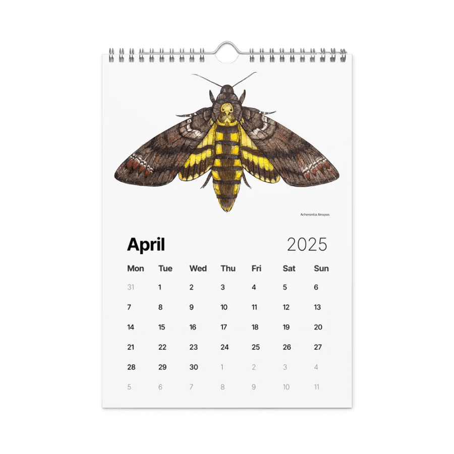 INSECTUM ABSTRACTUS - 2025 Calendar product image (4)