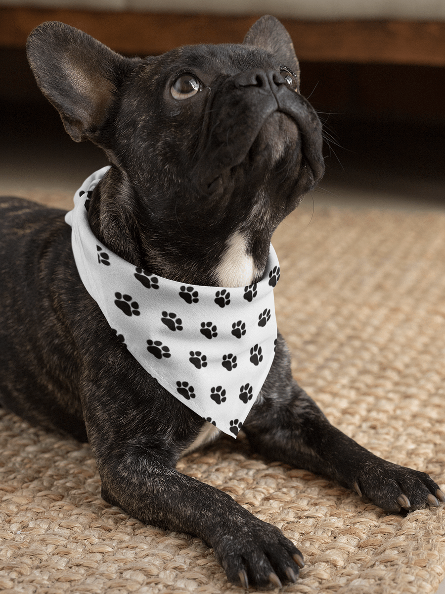 Jack's Paw Approved Bandana product image (3)