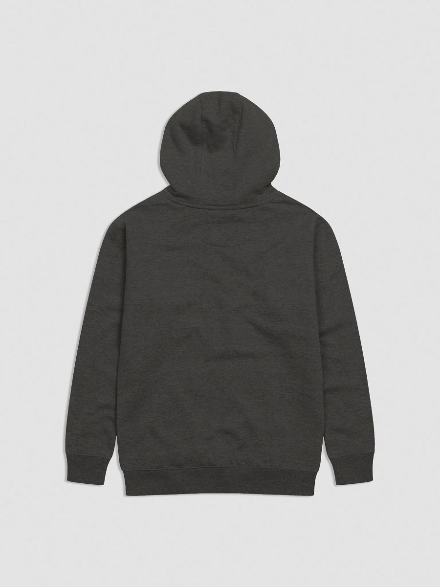 Joyful Reader Unisex Hoodie - Dur & Moll - Embroidered product image (4)