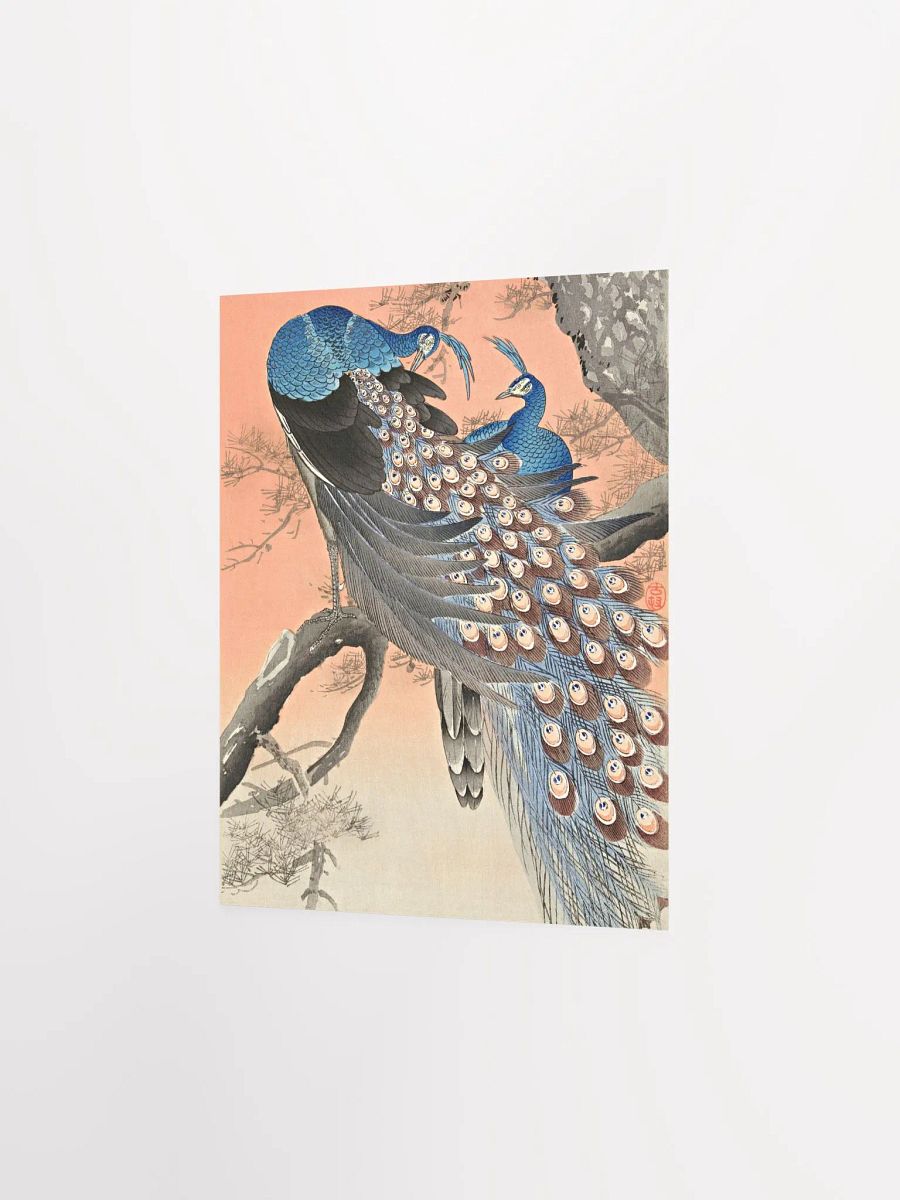 Two Peacocks on Tree Branch (1900 - 1930) by Ohara Koson product image (11)