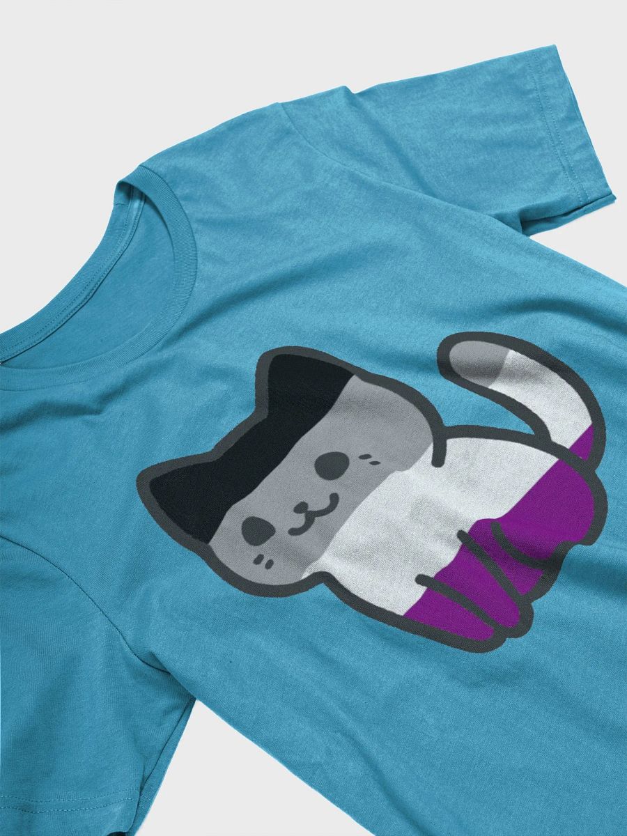 Asexual Pride Kitty Woman's Shirt product image (32)