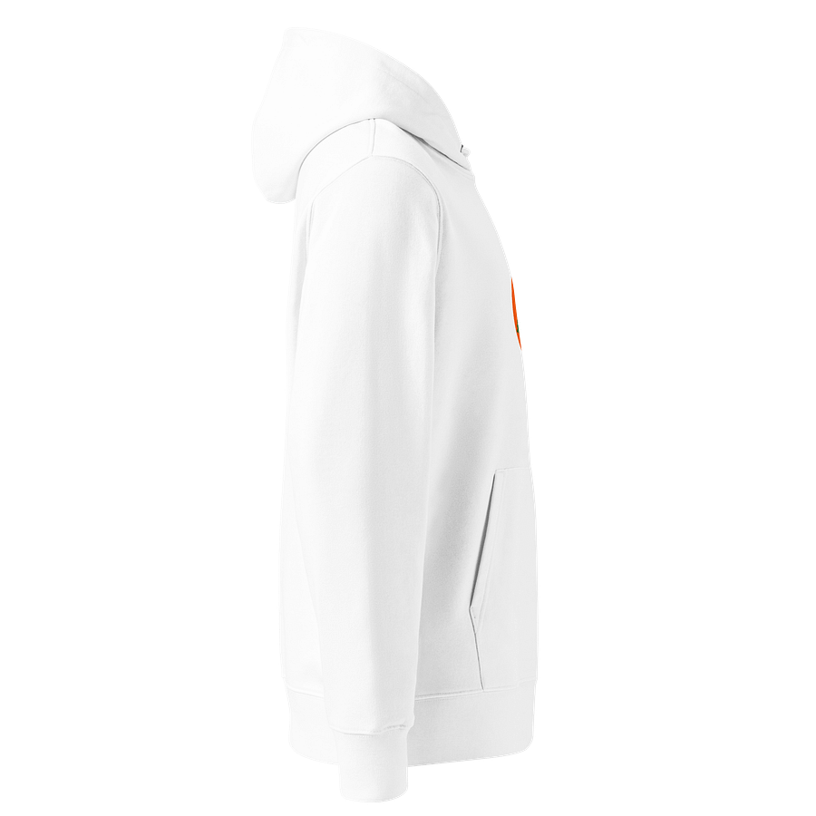 Sunset Serenity Organic Hoodie product image (4)
