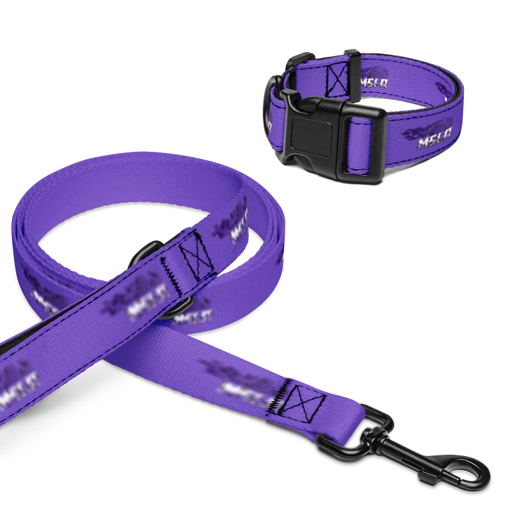 MSLA Purple Dog Leash and Collar product image (1)