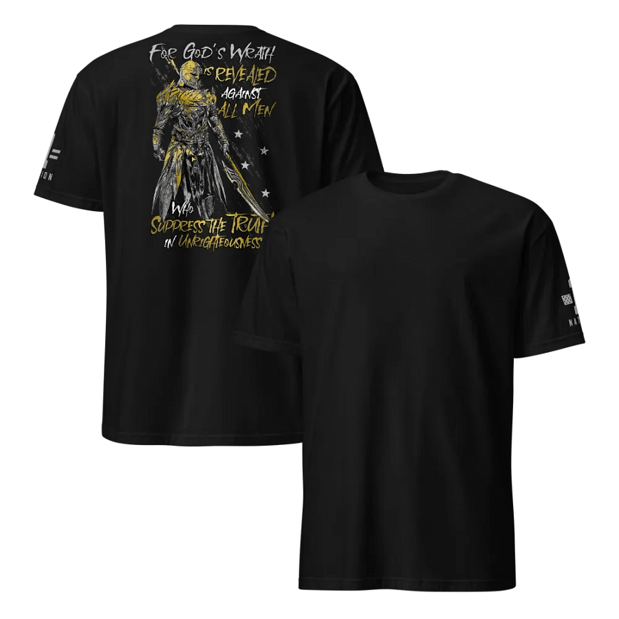 Paladin product image (13)