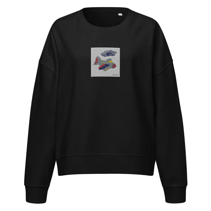 Kid Airplane (Stanley/Stella Women's Organic Crew Neck Sweatshirt) product image (1)