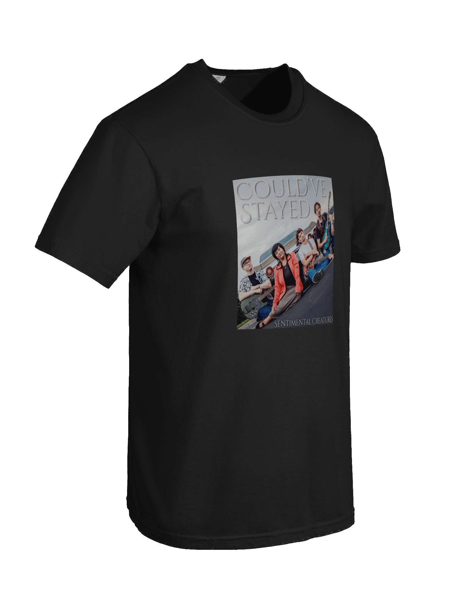 Could've Stayed SINGLE ART Tee product image (24)