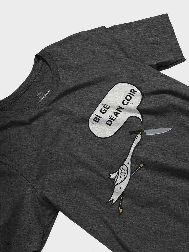 Bí Gé Déan Coir T-shirt product image (2)