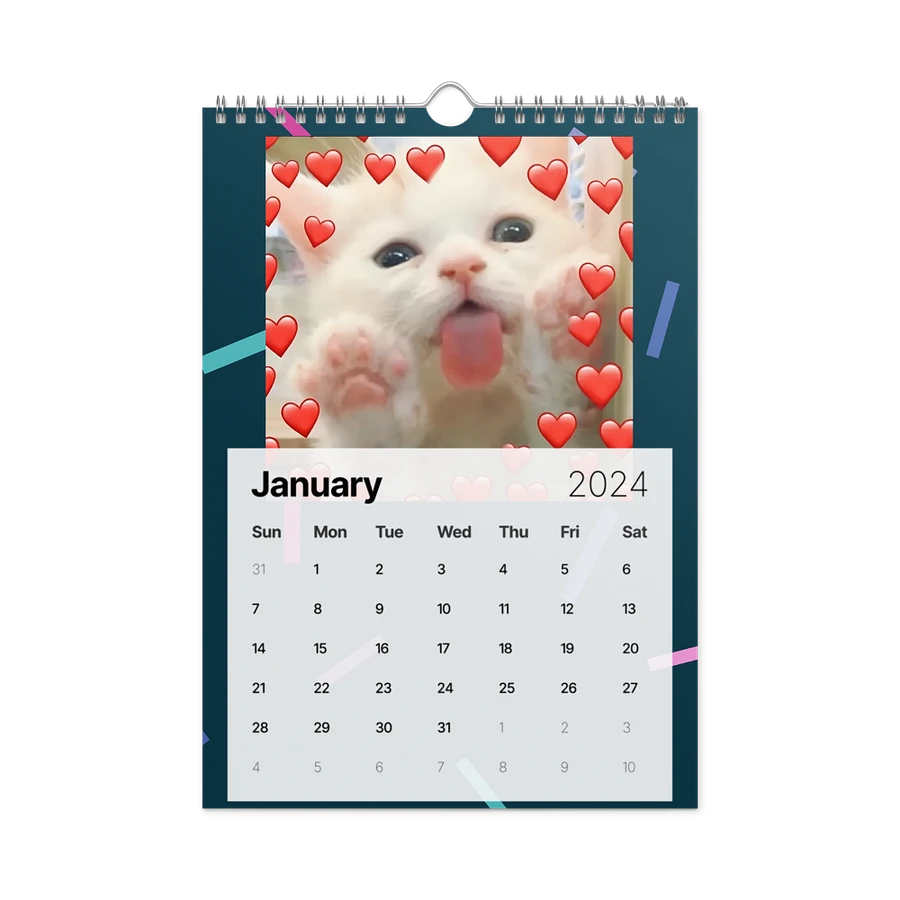 Wall Calendar (2024): Meme Cats product image (8)