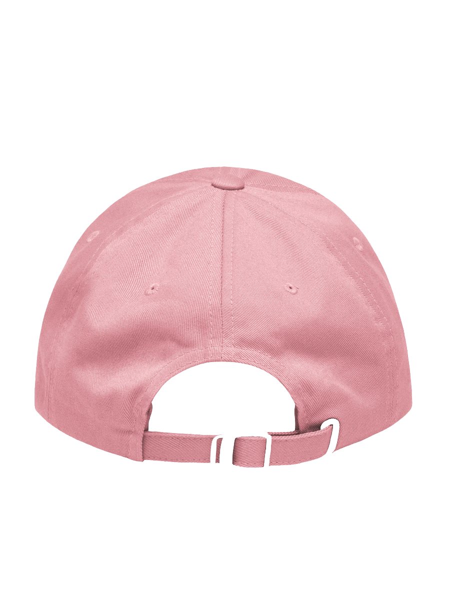 Shape the Future Dad Hat product image (3)