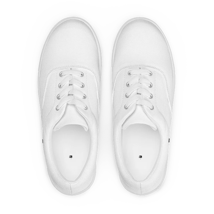 Fryenation Men's Laced Low Top Shoes product image (1)