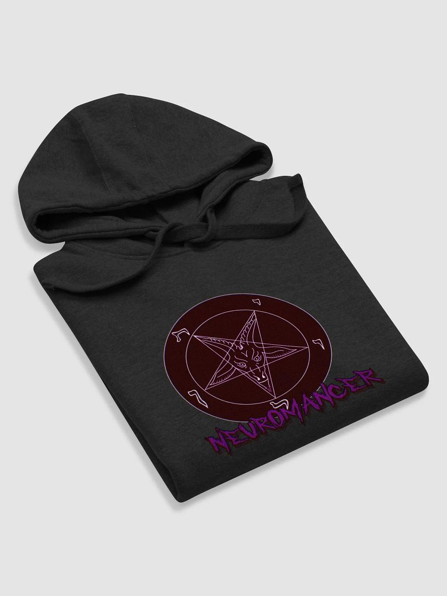 GREAT SATAN HOODIE product image (6)