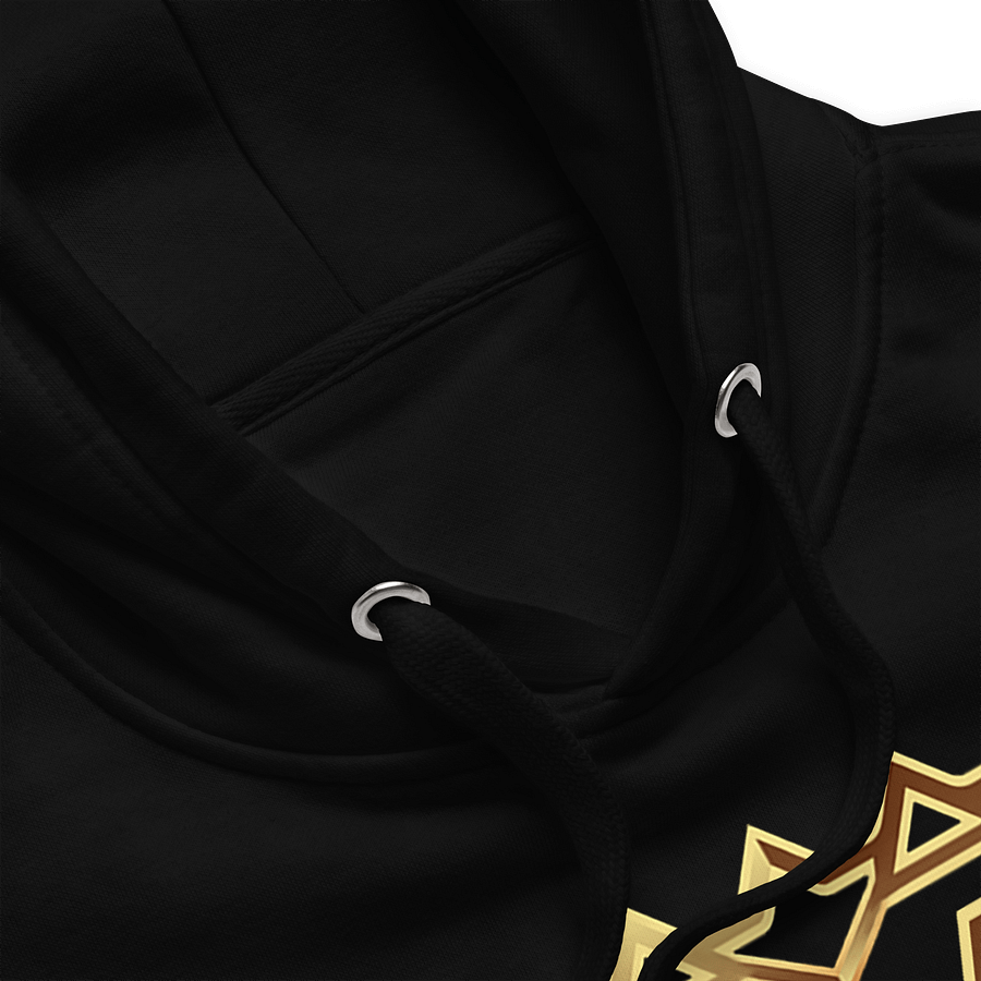 VETA Luxury Hoodie product image (12)