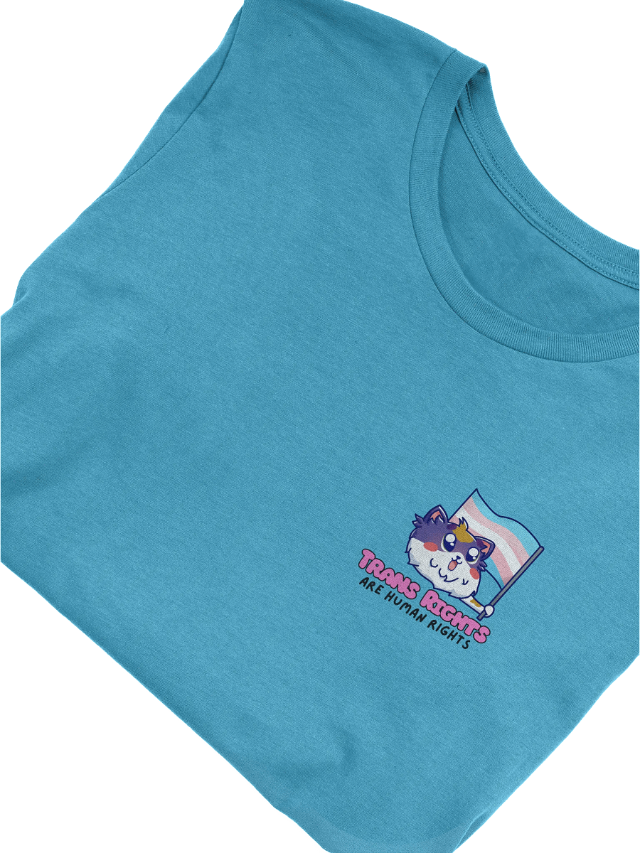 Trans Rights Soft Tee product image (47)