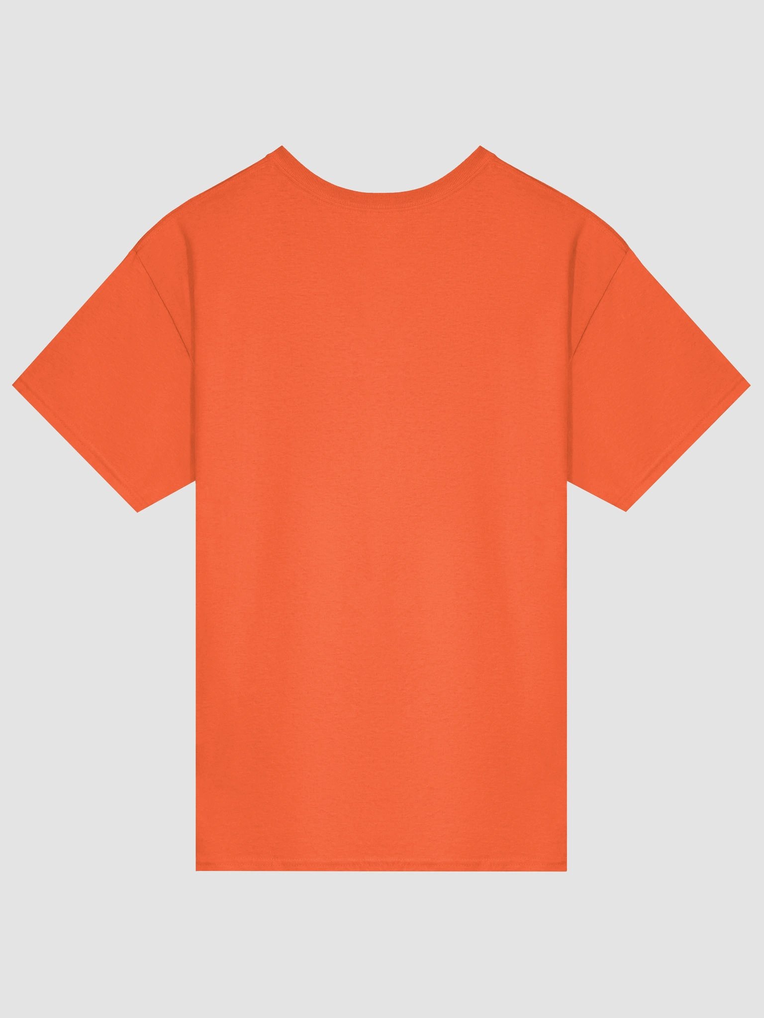 Healthy Wealthy Vegetarian & Vegan Tee product image (2)