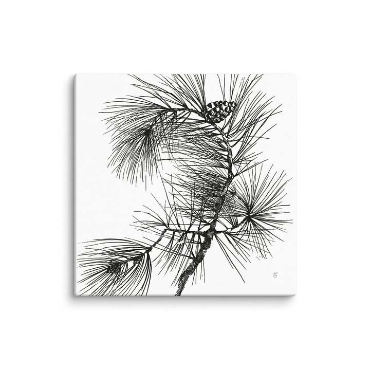 Blank Canvas Collection - Pine Branch product image (1)
