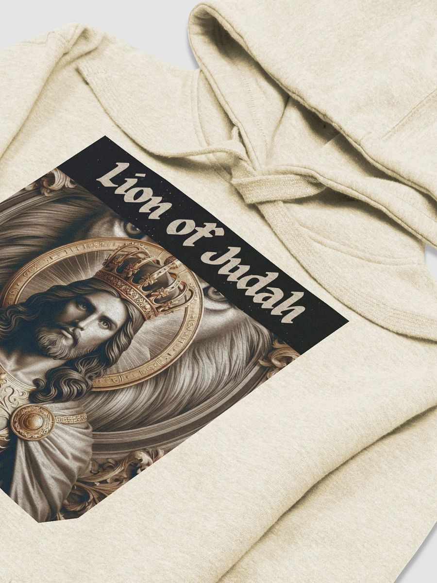 Lion of Judah Hoodie product image (32)