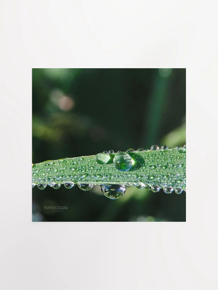 Dew Gems #2 - Print product image (3)