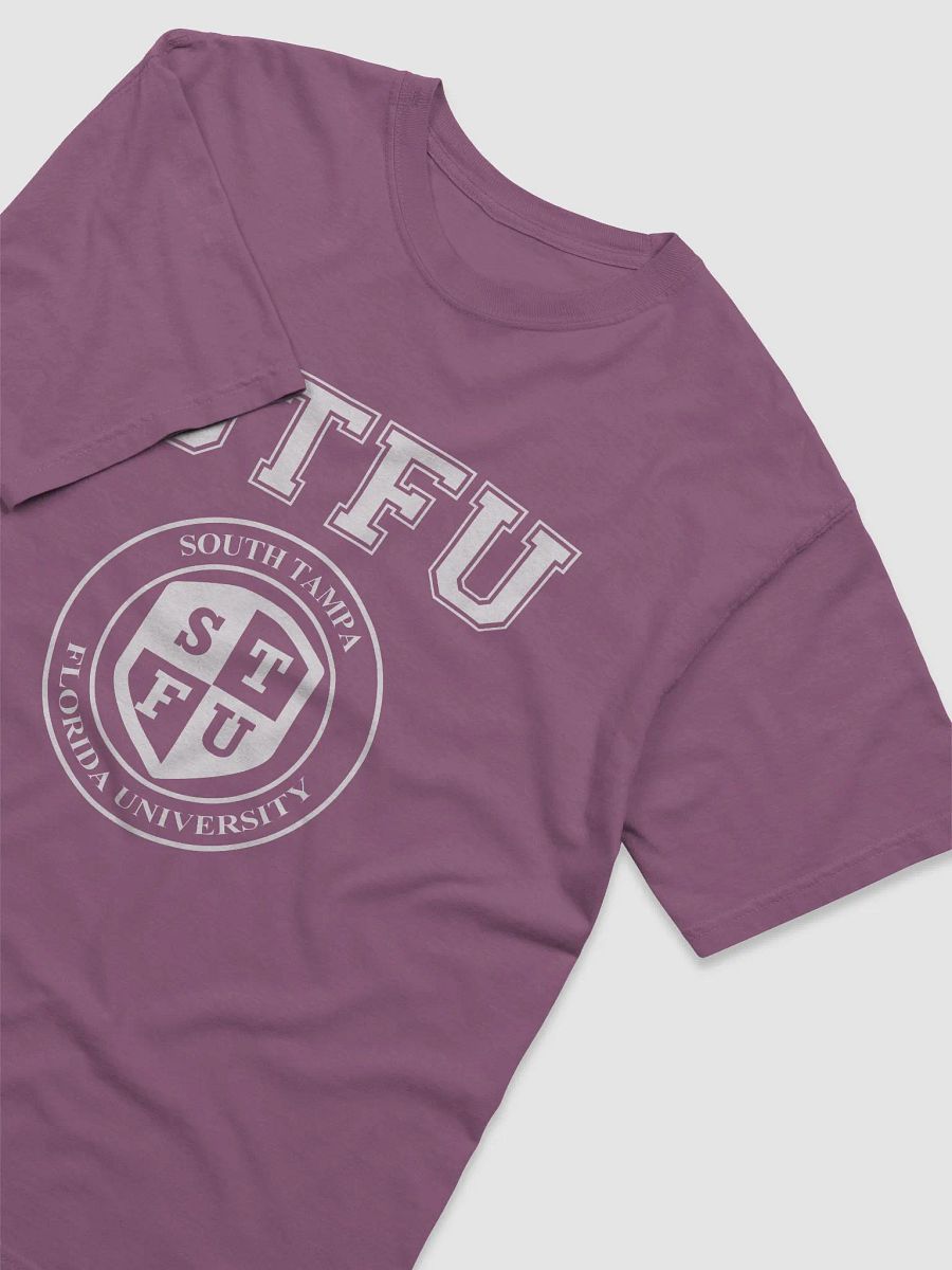 STFU Garment-Dyed Heavyweight T-Shirt / Dark Colors product image (3)