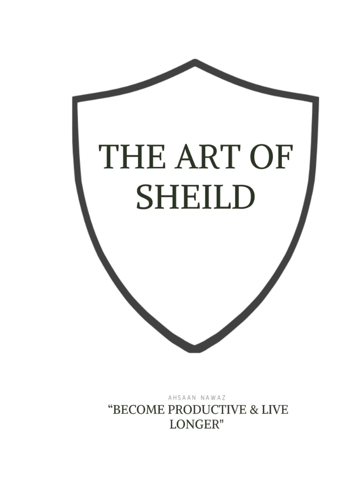 The Art of Shield Ebook product image (2)