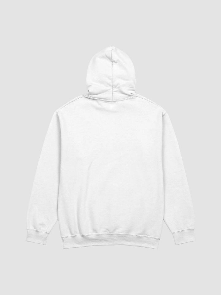 NTA hoodie product image (24)