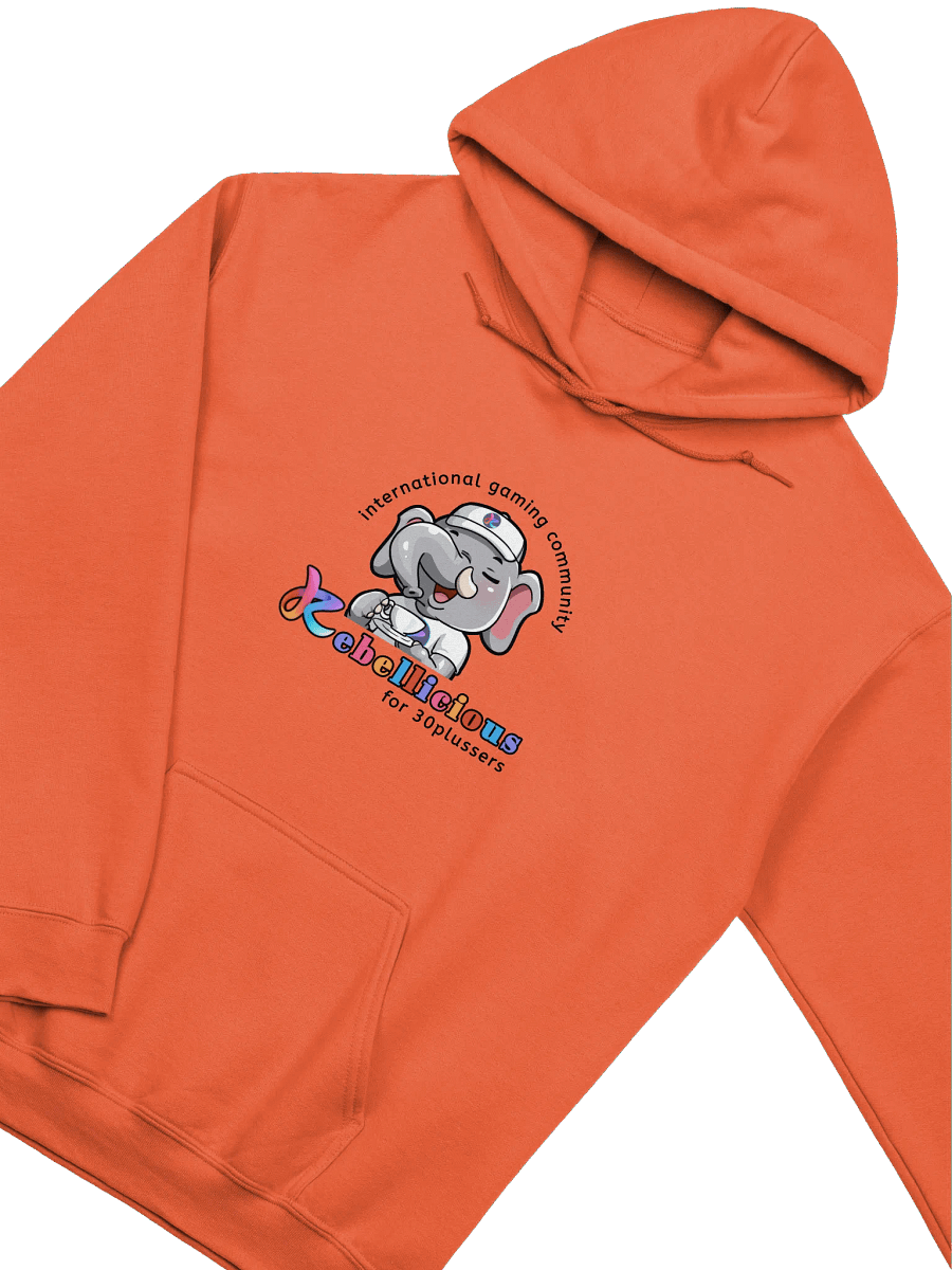 Gildan Classic Hoodie product image (3)