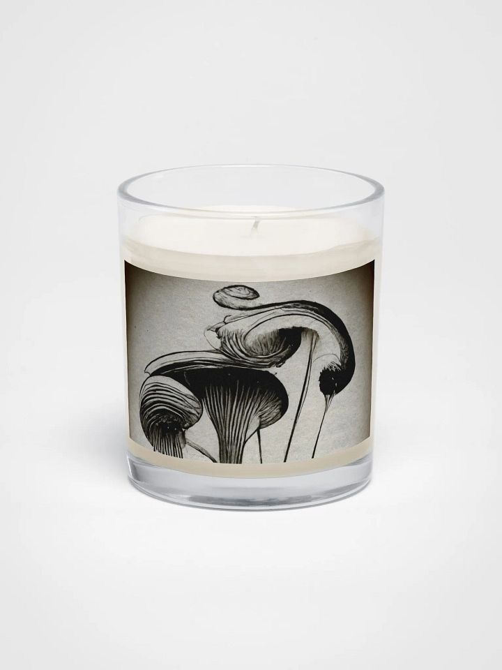 Mystical Mushroom Soy Candle product image (1)