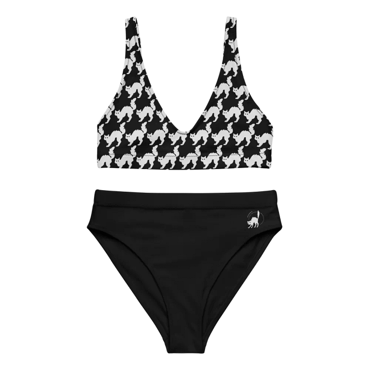 Feline Flight High Waisted Bikini product image (1)
