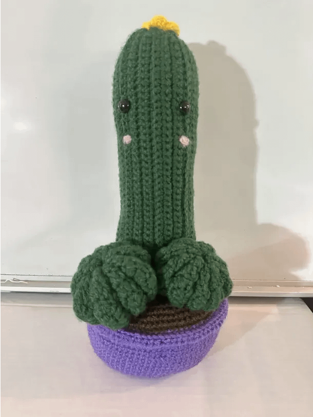 Handmade Cactus Crochet Plush product image (1)