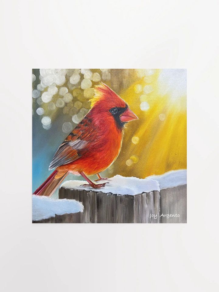 Cardinal in the Sunshine Print product image (1)
