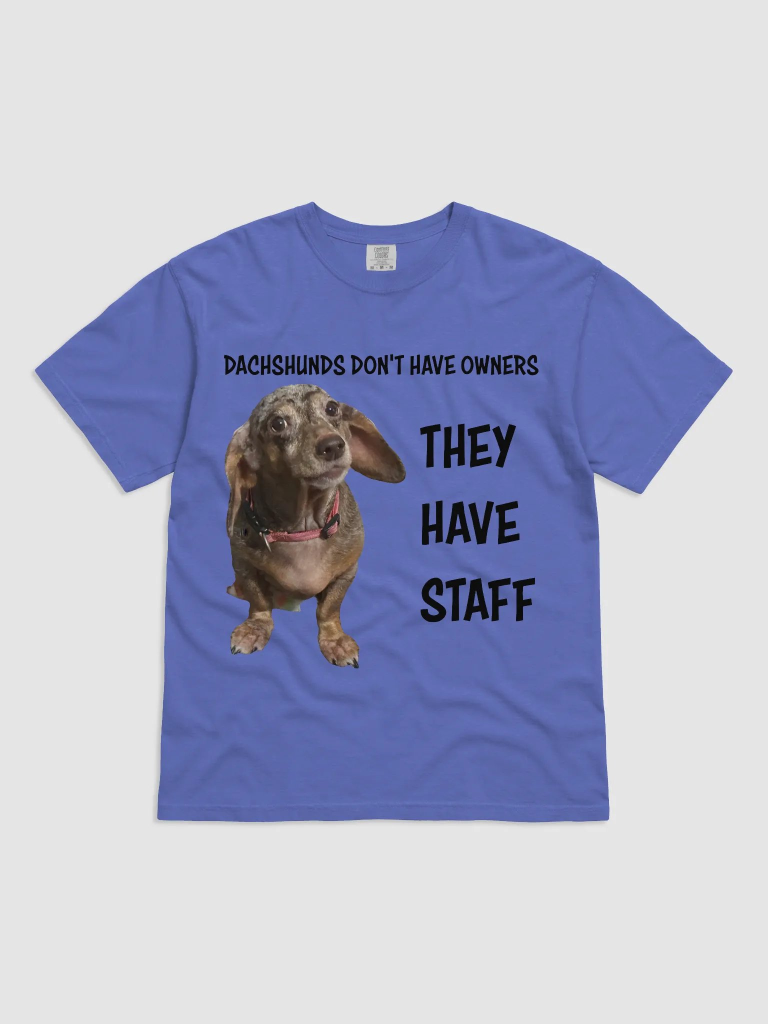 Dachshunds Have Staff product image (7)