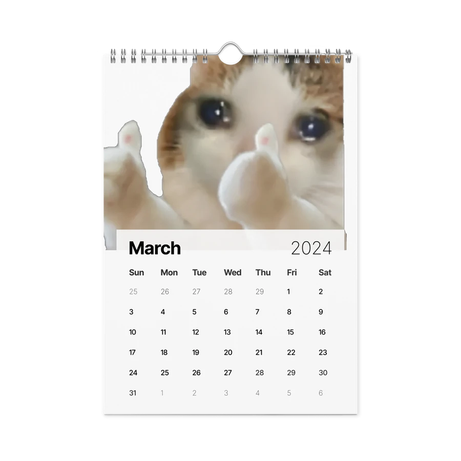 Wall Calendar (2024): Meme Cats product image (13)