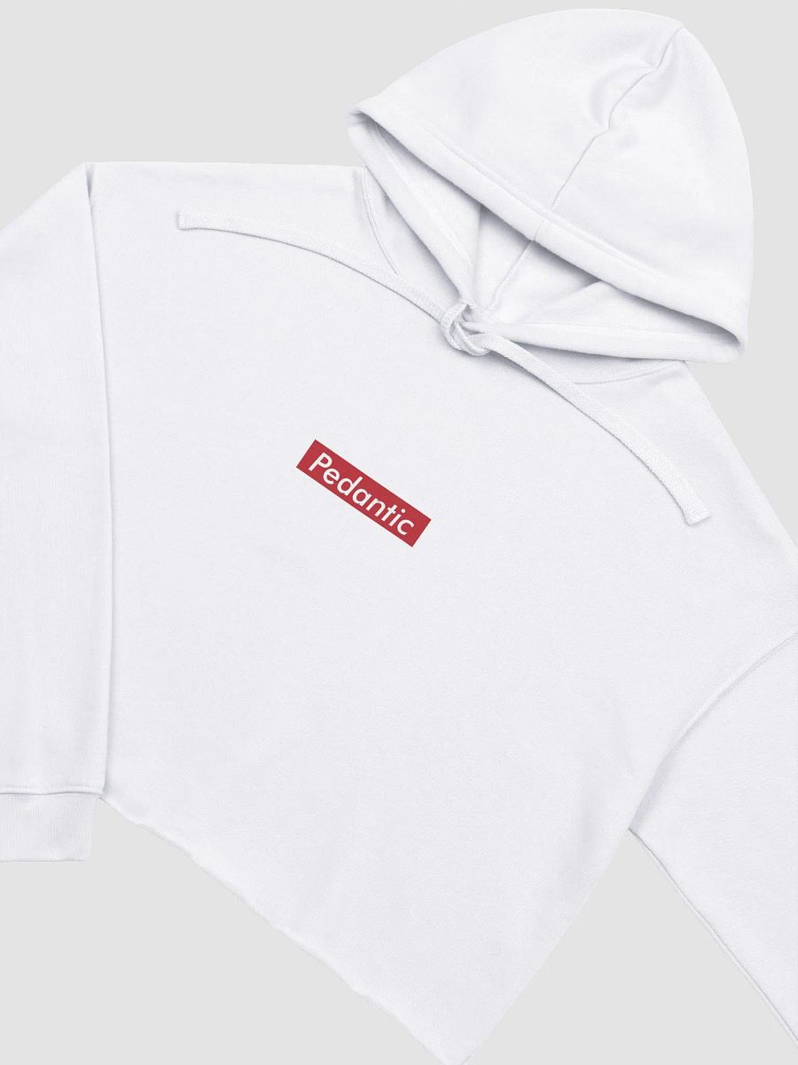 Pedantic Fleece Crop Hoodie product image (35)