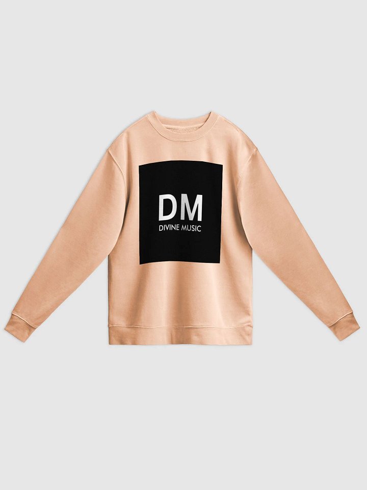 DIVINE SWEATSHIRTS product image (1)