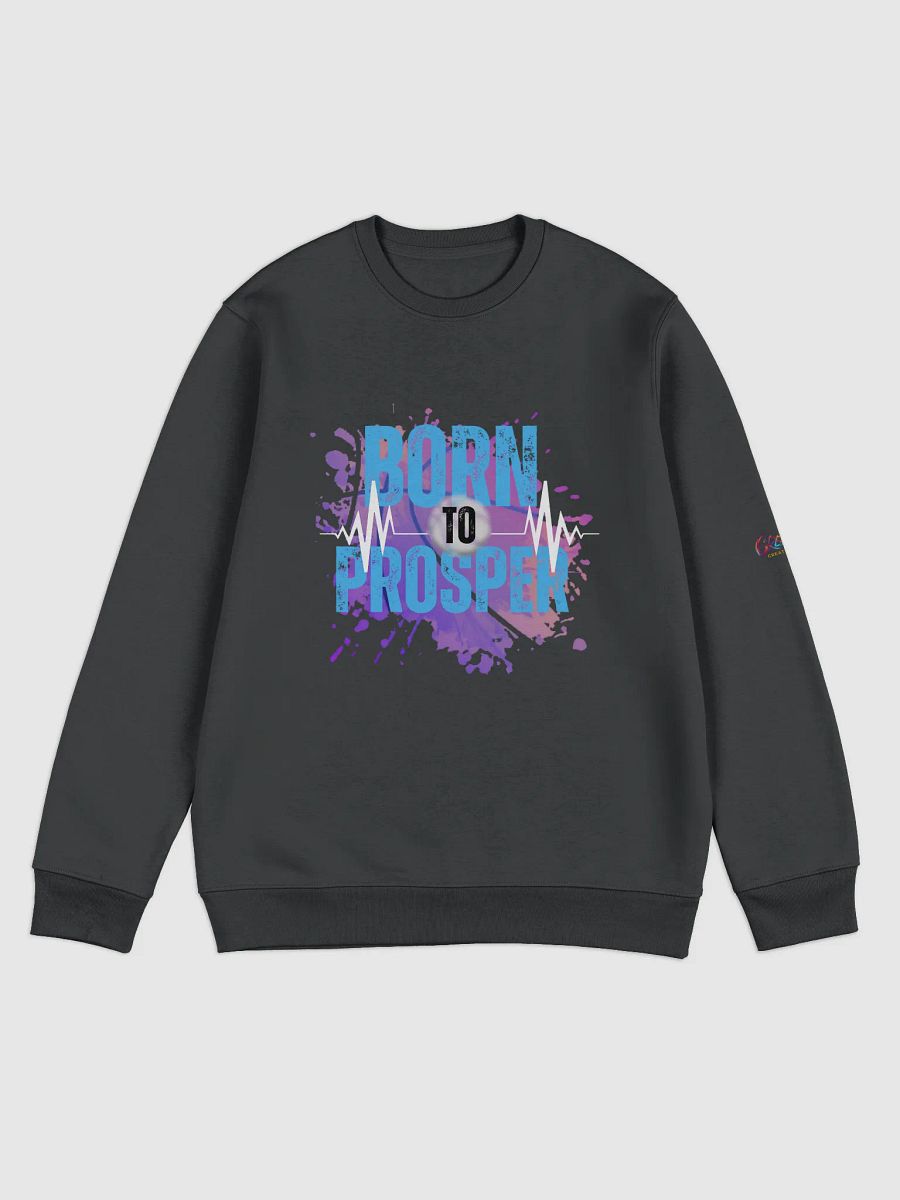 Born to Prosper Unisex Eco Sweatshirt product image (2)