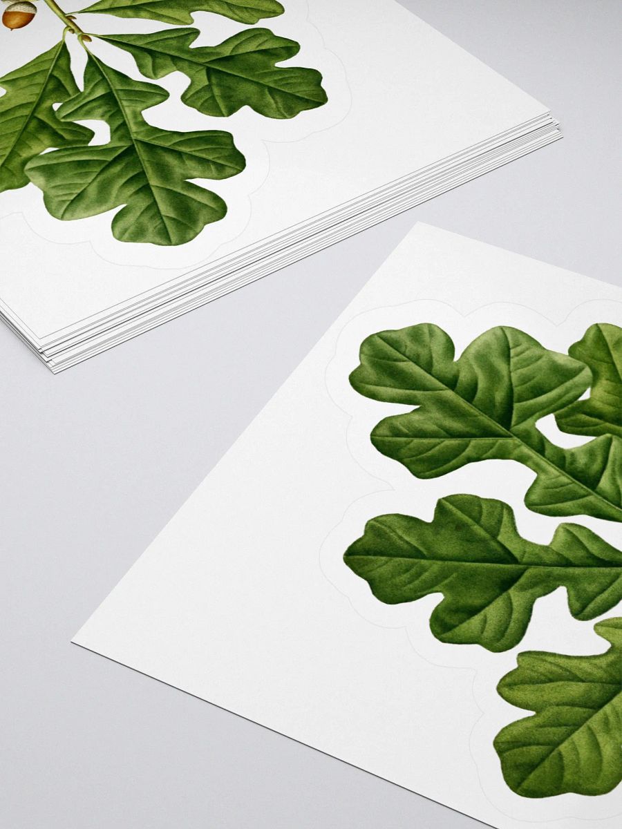 Post Oak Sticker product image (4)