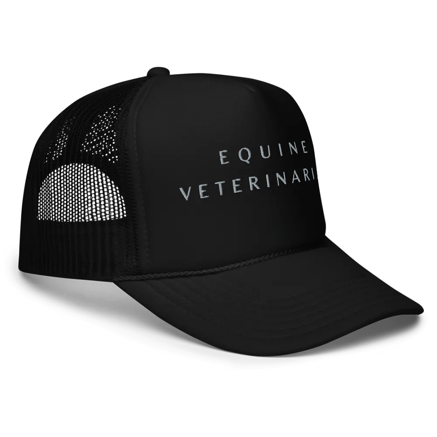 "Equine veterinarian" embroidery hat product image (4)