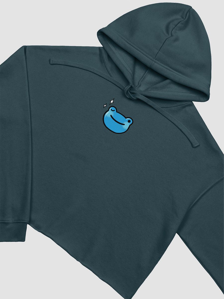 Wink Froge Crop Hoodie product image (1)