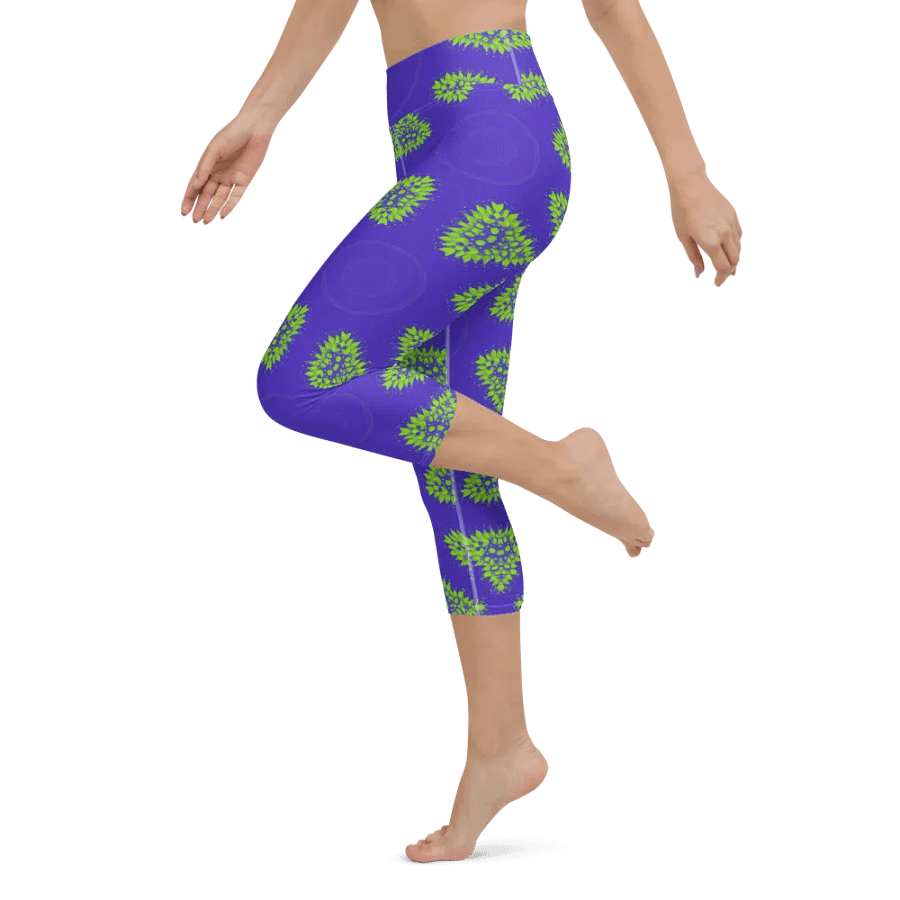 Shape Spectrum Capri Leggings product image (1)