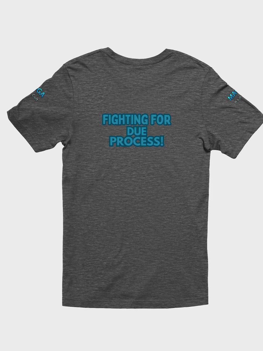 MAGA It's a Cult - Due Process Soft T-Shirt product image (21)